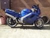 blue-750