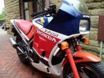 orange55pro