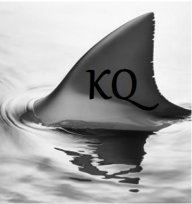 SharkKQ