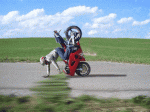 cruzinaz