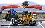 Gerhardus501