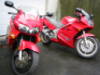 RedWonder