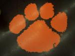 Clemson_Rider