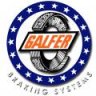 GALFER1