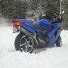 Bluestreak