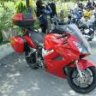 mildstone55
