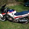 bruce449