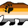 BearNVa