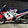 bialecki86