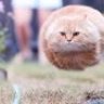 pantsface