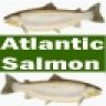 AtlanticSalmon