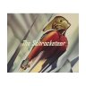schrocketeer