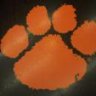 Clemson_Rider