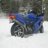 Bluestreak