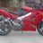 knucklehead