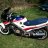 bruce449