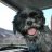 Ditchdog