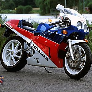 The Dream Ride