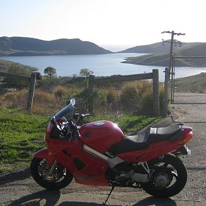 Day trip