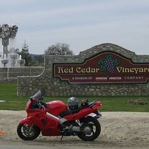Red Cedar