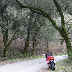 short trip 3-16-06
