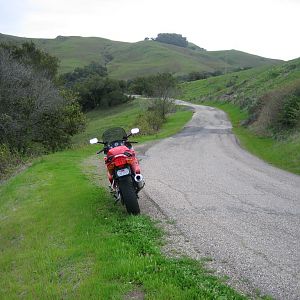 More of the same road.