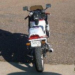 New Members rides