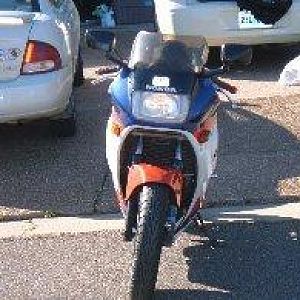 New Members rides
