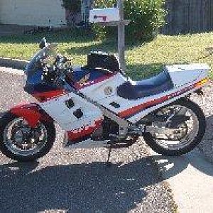 New Members rides