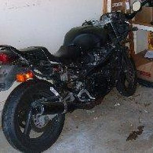New Members rides