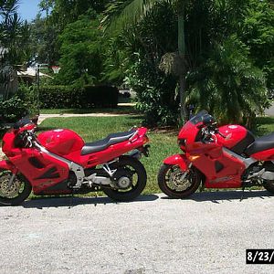 The new ponies in my stable