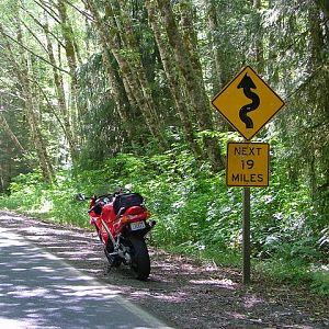 53 in NW Oregon