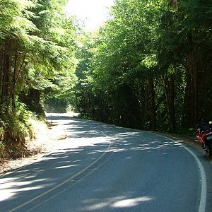 53 in NW Oregon