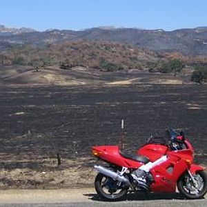 Mor fire damage