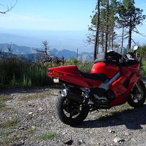 Top of Mt. Lemon