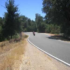 229 curves
