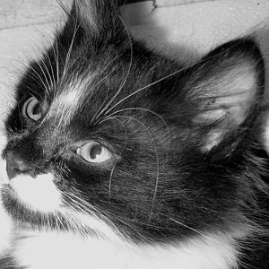 B/W Photography