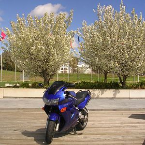 Enjoying the Spring weather