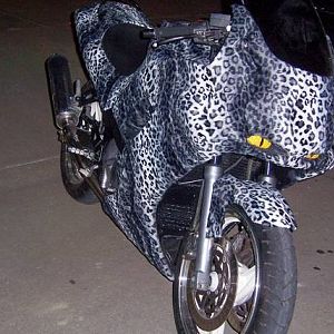 bikes, blues and BBQ!