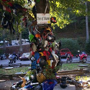 Tree of Shame at Deals Gap