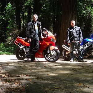 Highway 128 on the way to Fort Bragg, CA