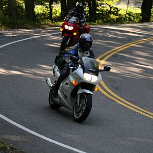 91503418