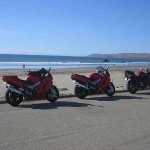 Beach Bums