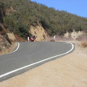 Hwy 229 Tori