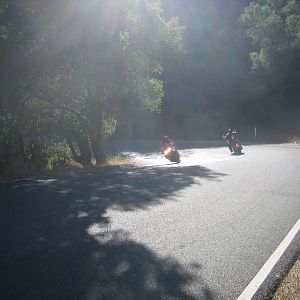 Hwy 229 Reg