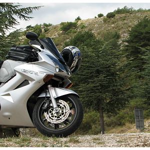 IMG_1134modif