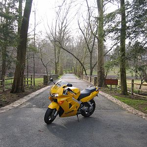 On a ride in Northern Delaware II