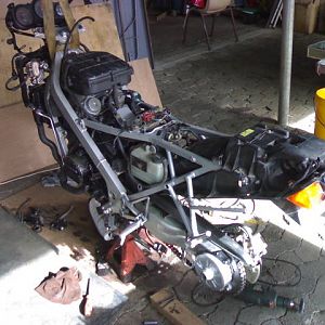 the naked truth, it is a nc24
