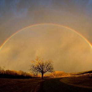 Rainbows