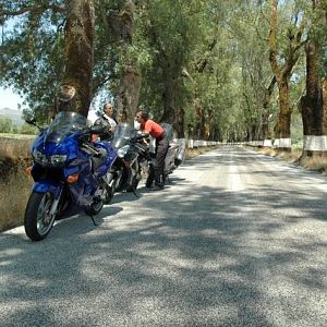 Road to Marvo